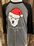 Riley’s Santa Hat Baseball Tee