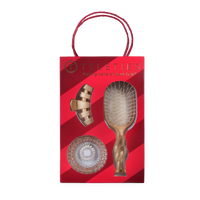 Holiday Brush Gift Set