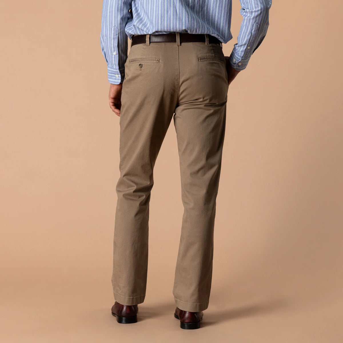 Classic Fit Gold School Chino